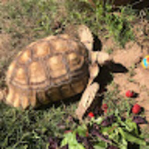 Meet your Posher, Stacey